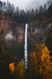 A waterfall surrounded by trees and fog.