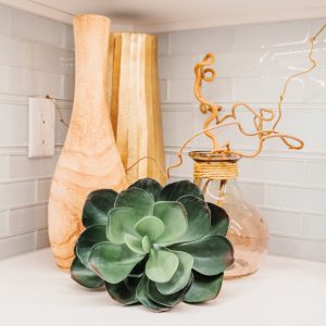 Vases with succulents on a white counter top.